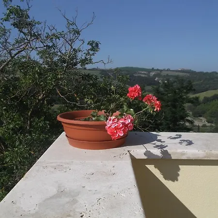 Farm stay Dipinture Asciano
